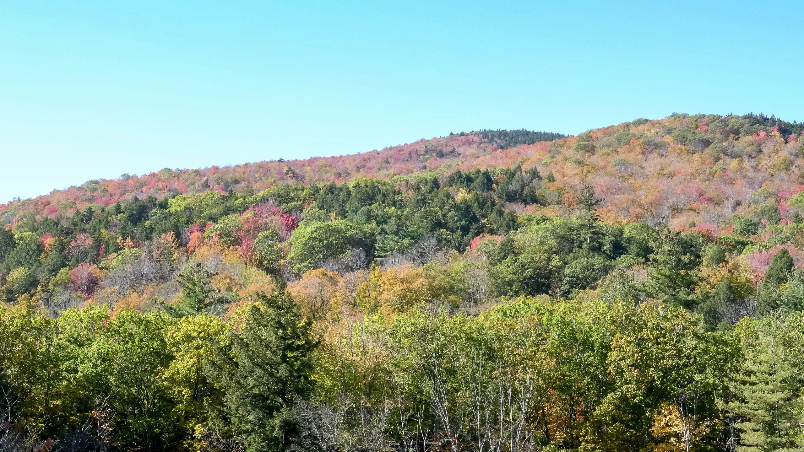 New Hampshire hillside with seasonal color